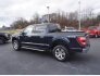 2022 Ford F150 for sale 101828839