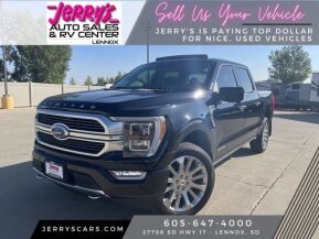 2022 Ford F150 for sale 101941404