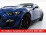 2022 Ford Mustang Shelby GT500 for sale 101771468