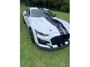 2022 Ford Mustang Shelby GT500 for sale 101778740