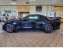 2022 Ford Mustang for sale 101785209