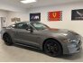 2022 Ford Mustang GT for sale 101806854