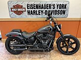 2022 Harley-Davidson Softail Street Bob 114 for sale 201613238