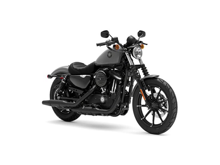 2022 Harley-Davidson Sportster Iron 883 specifications