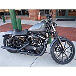 2022 Harley-Davidson Sportster for sale 201247790