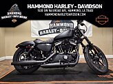 2022 Harley-Davidson Sportster Iron 883 for sale 201261886
