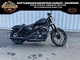 2022 Harley-Davidson Sportster Iron 883 for sale 201333244