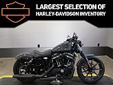 2022 Harley-Davidson Sportster Iron 883 for sale 201342604