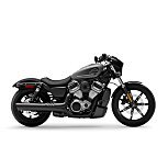 2022 Harley-Davidson Sportster Nightster for sale 201351448