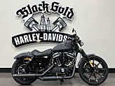 2022 Harley-Davidson Sportster Iron 883 for sale 201406044
