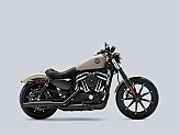 2022 Harley-Davidson Sportster Iron 883 for sale 201626665