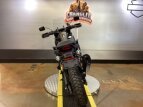 Thumbnail Photo 9 for New 2022 Harley-Davidson Pan America Special
