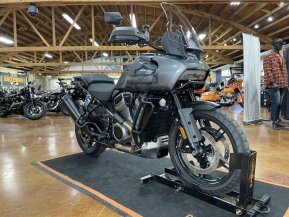 2022 Harley-Davidson Pan America for sale 201419287