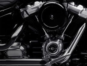 2022 Harley-Davidson Softail for sale 201251416