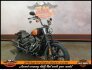 2022 Harley-Davidson Softail Street Bob 114 for sale 201372360