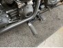 2022 Harley-Davidson Softail Street Bob 114 for sale 201375723