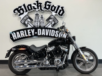 2022 Harley-Davidson Softail Standard