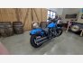 2022 Harley-Davidson Softail Street Bob 114 for sale 201382148