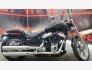 2022 Harley-Davidson Softail Standard for sale 201392597