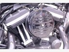 Thumbnail Photo 14 for New 2022 Harley-Davidson Sportster Iron 883