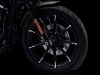 Thumbnail Photo 3 for 2022 Harley-Davidson Sportster
