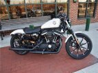 Thumbnail Photo 1 for New 2022 Harley-Davidson Sportster