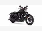 Thumbnail Photo 10 for New 2022 Harley-Davidson Sportster Iron 883