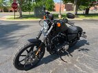 Thumbnail Photo 7 for 2022 Harley-Davidson Sportster Iron 883