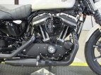 Thumbnail Photo 8 for New 2022 Harley-Davidson Sportster Iron 883