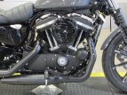 Thumbnail Photo 9 for New 2022 Harley-Davidson Sportster Iron 883