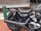 Thumbnail Photo 5 for New 2022 Harley-Davidson Sportster