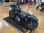 Thumbnail Photo 11 for 2022 Harley-Davidson Sportster Iron 883