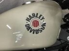 Thumbnail Photo 12 for New 2022 Harley-Davidson Sportster Iron 883