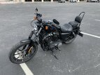 Thumbnail Photo 3 for 2022 Harley-Davidson Sportster Iron 883