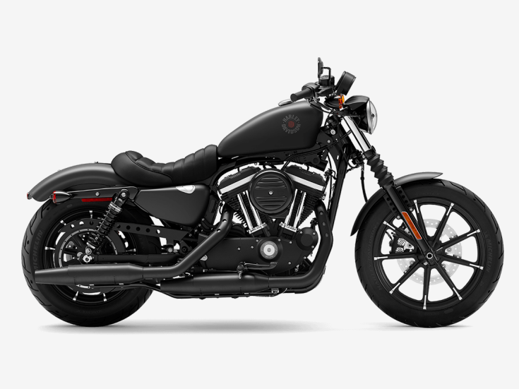 Thumbnail Photo undefined for New 2022 Harley-Davidson Sportster Iron 883