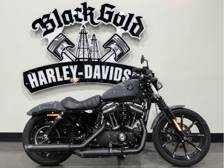 Thumbnail Photo undefined for 2022 Harley-Davidson Sportster Iron 883