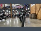 Thumbnail Photo 6 for 2022 Harley-Davidson Sportster Nightster