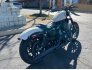 2022 Harley-Davidson Sportster Iron 883 for sale 201244471