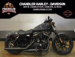 2022 Harley-Davidson Sportster Iron 883 for sale 201253160