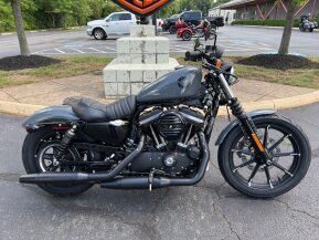 2022 Harley-Davidson Sportster Iron 883 for sale 201300944