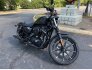2022 Harley-Davidson Sportster Iron 883 for sale 201330888