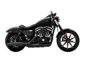 2022 Harley-Davidson Sportster Iron 883 for sale 201331537