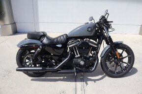 2022 Harley-Davidson Sportster Iron 883 for sale 201340177