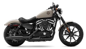 2022 Harley-Davidson Sportster Iron 883 for sale 201359638