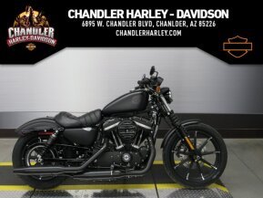 2022 Harley-Davidson Sportster Iron 883 for sale 201362392