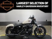 New 2022 Harley-Davidson Sportster Iron 883