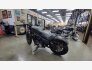 2022 Harley-Davidson Sportster Iron 883 for sale 201382154