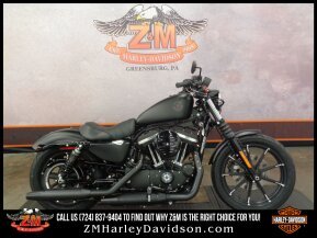 2022 Harley-Davidson Sportster Iron 883 for sale 201402361