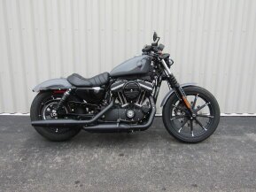 2022 Harley-Davidson Sportster Iron 883 for sale 201404056