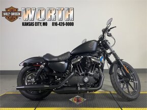 2022 Harley-Davidson Sportster Iron 883 for sale 201404178
